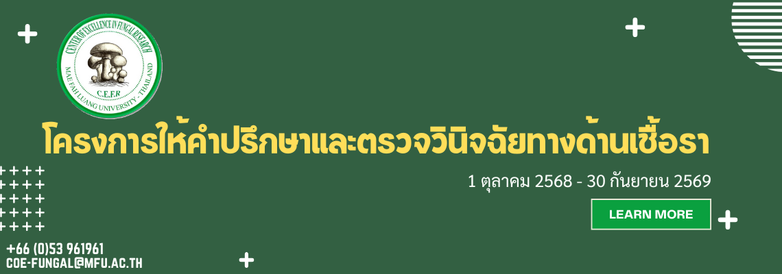 ให้คำปรึกษา
