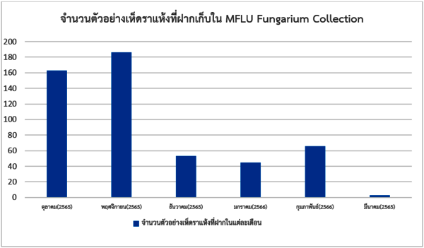 service statistics